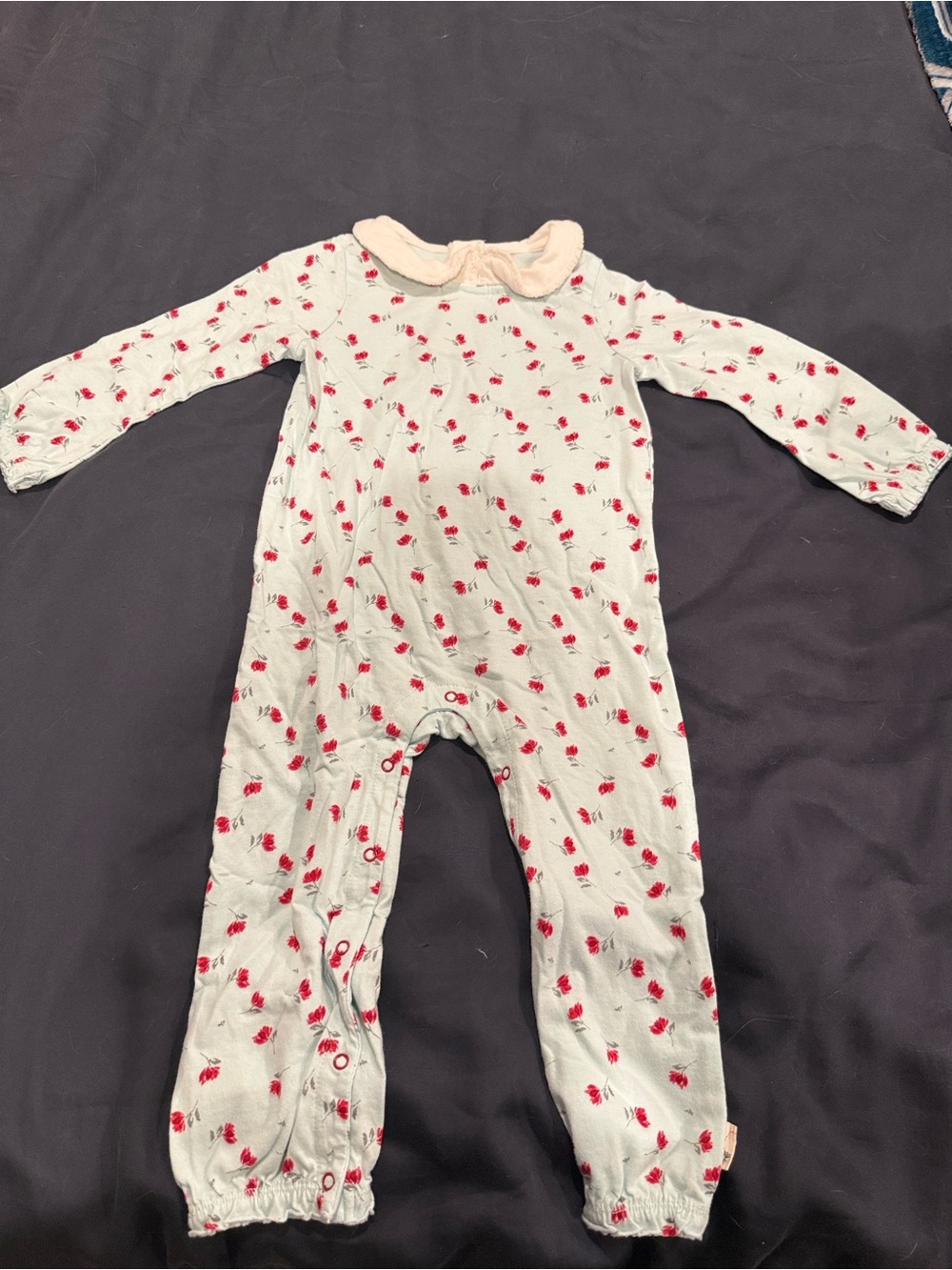 Baby Girls soft blue One-Piece with Red holiday Floral Print